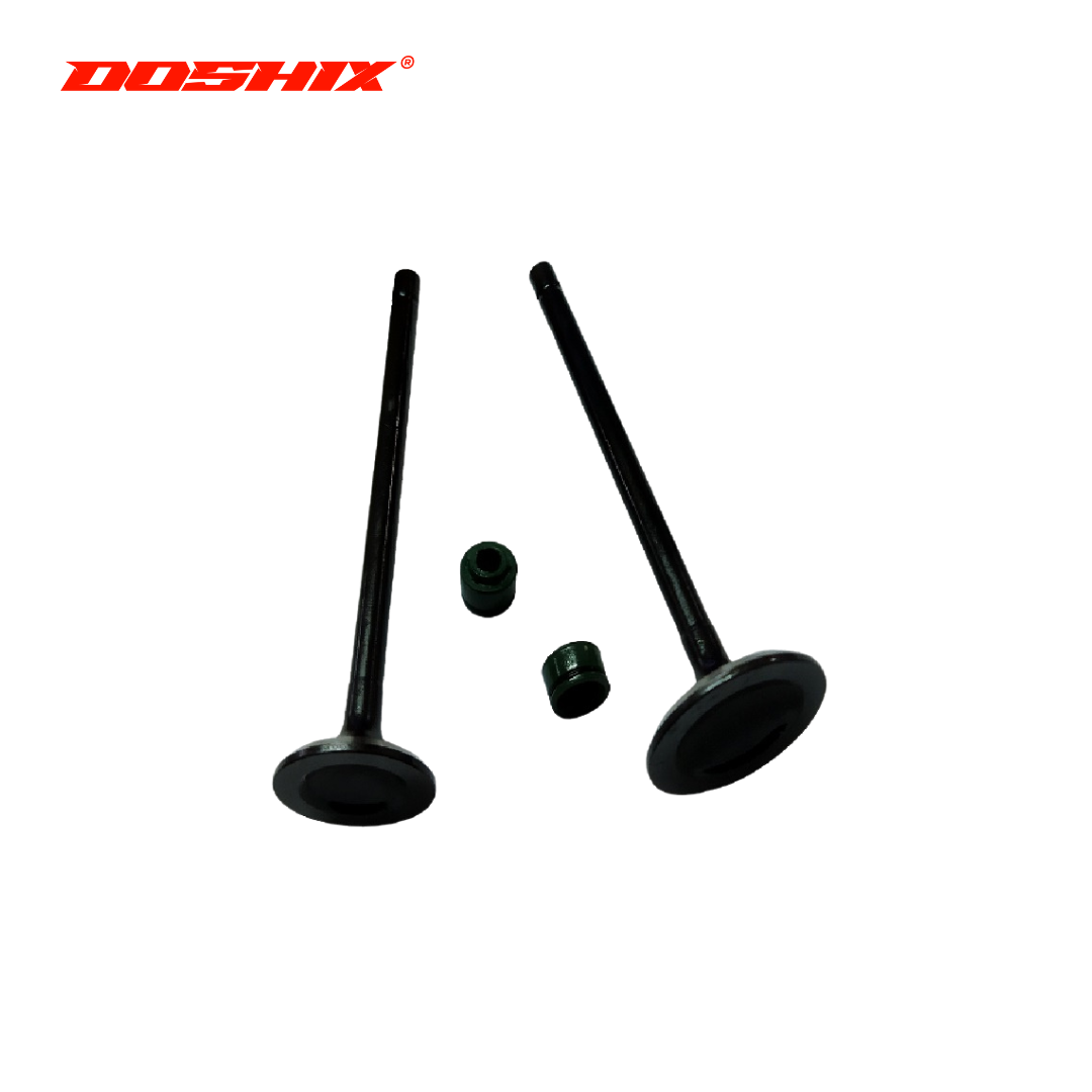 ENGINE VALVE SET